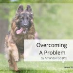 P6 Compo Overcoming A Problem